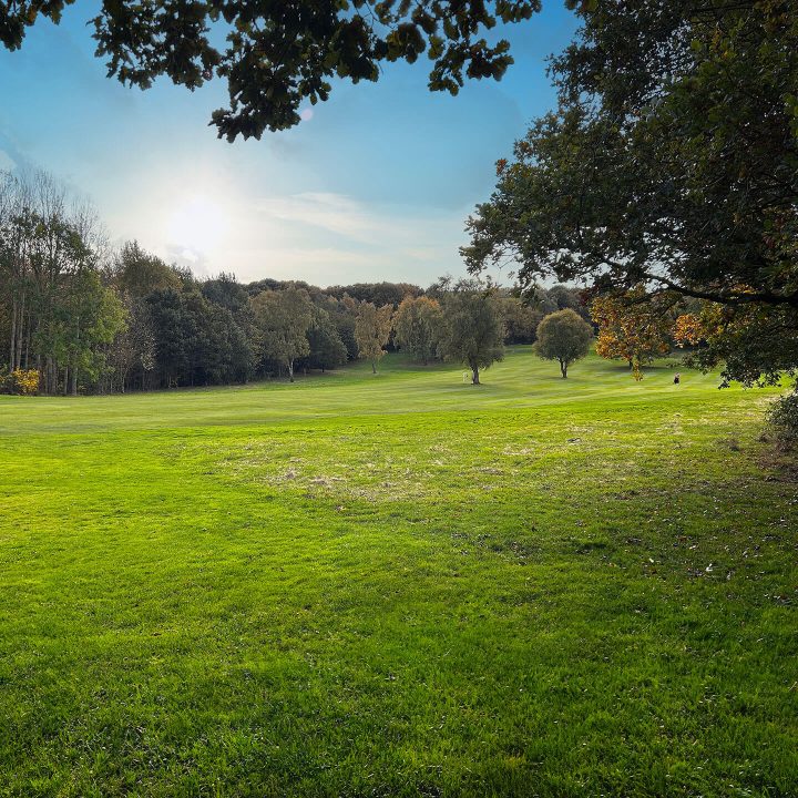 Tinsley Park Golf Course Hole 8