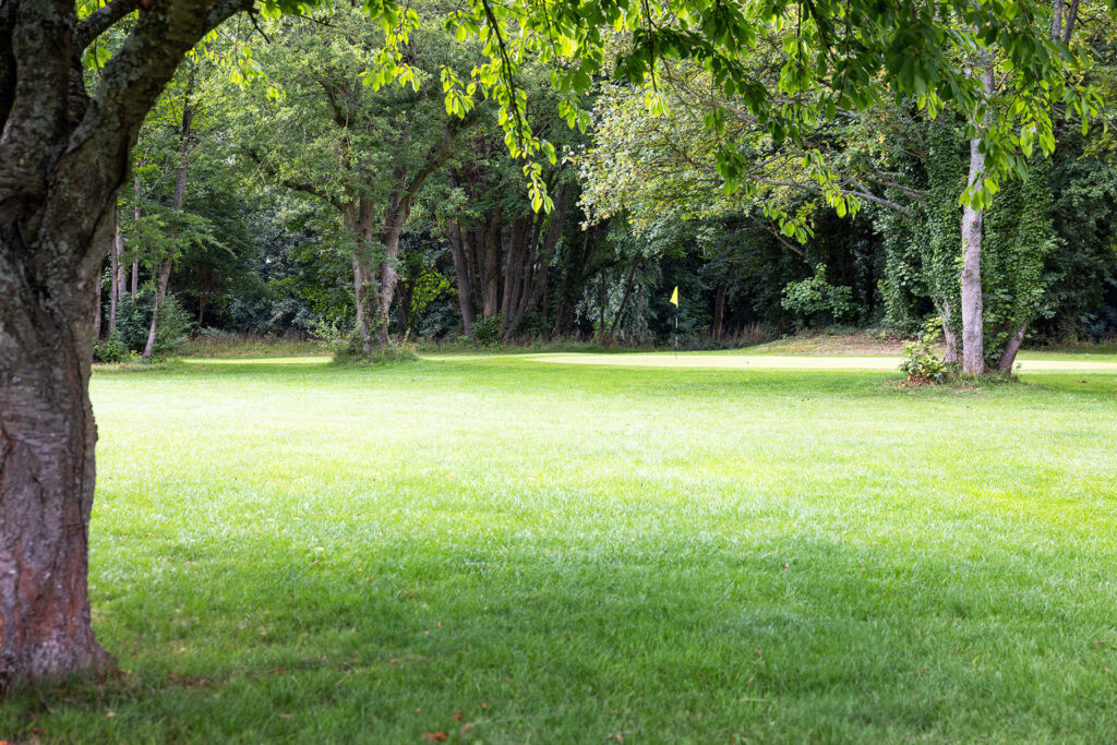 Sunny grassy field with trees and a distant yellow golf flag visible among the greenery.