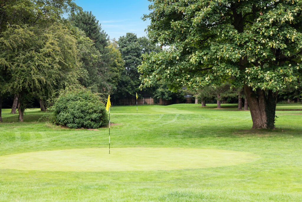 A golf green with a yellow flag, surrounded by trees and lush grass under a blue sky.