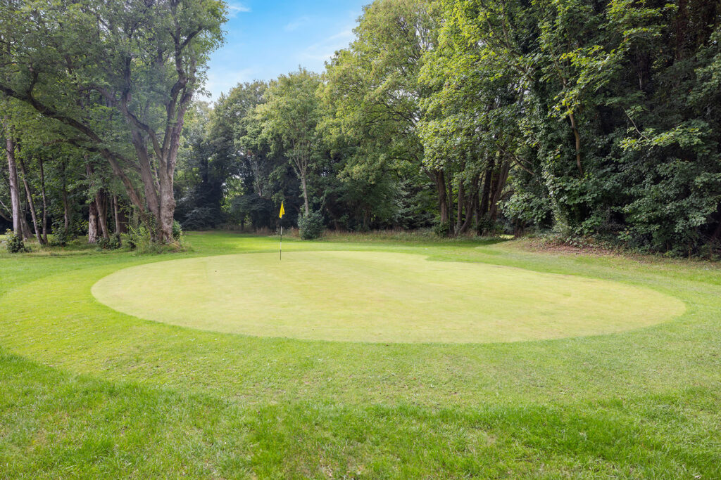 Golf green with a flagstick, surrounded by trees and lush grass under a blue sky.