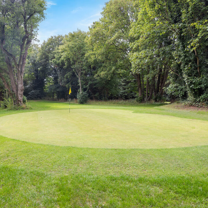Golf green with a flagstick, surrounded by trees and lush grass under a blue sky.