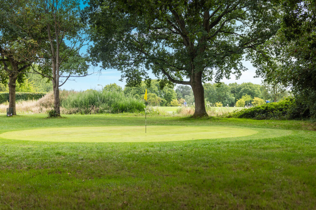 A golf putting green with a flagstick, surrounded by trees and lush greenery.