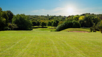 Sunny day on a green Enderby golf course with trees and blue sky in the background.