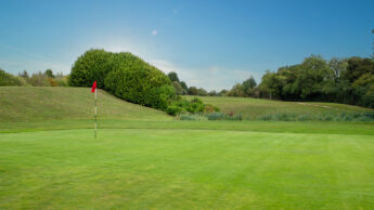 A golf green with a red flag under a clear blue sky surrounded by trees and bushes.