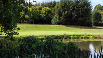 A golf green with a red flag, trees in the background, and a pond in the foreground.