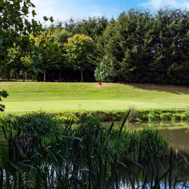 A golf green with a red flag, trees in the background, and a pond in the foreground.