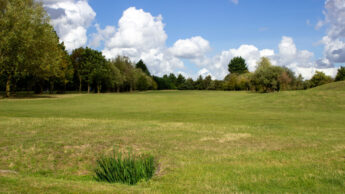 Open golf course with scattered trees under a blue sky with white clouds.