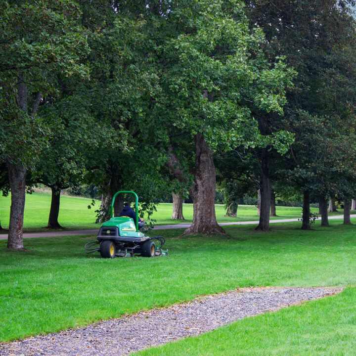 Person driving a green lawnmower on golf course near trees.