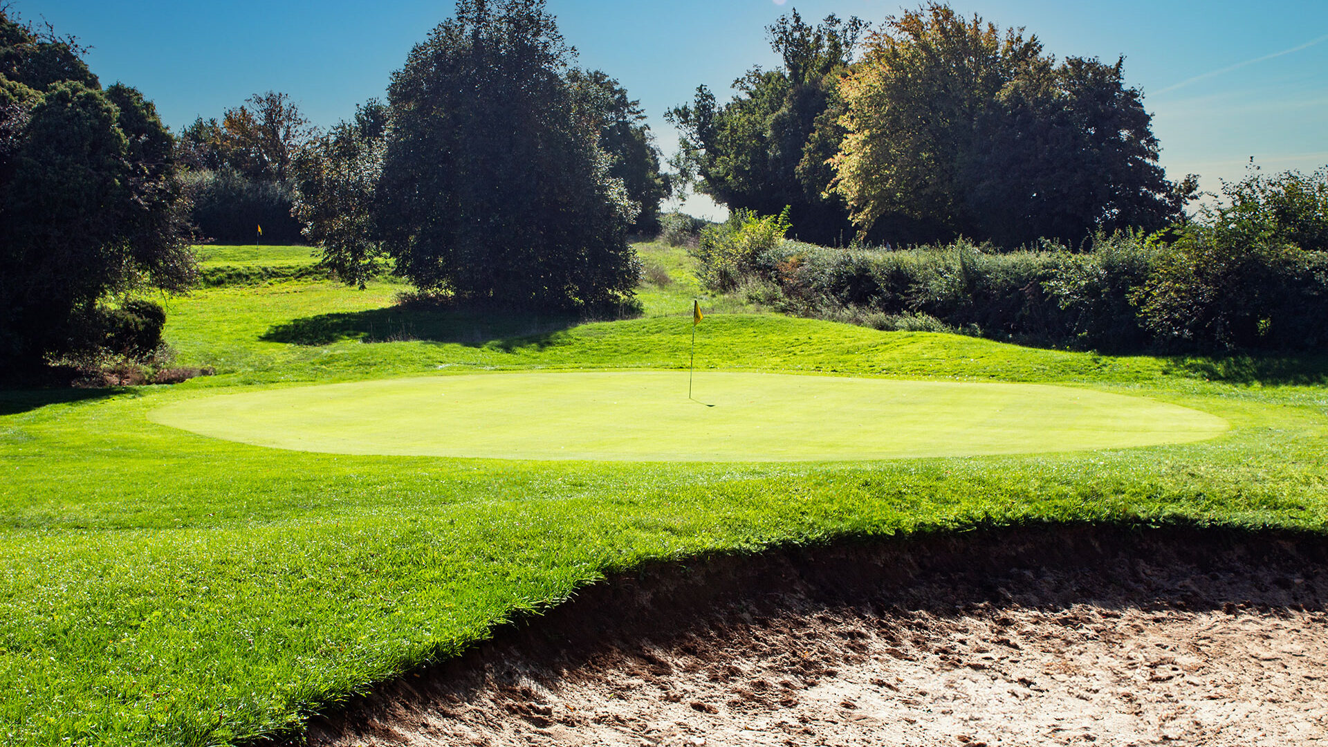 A golf green with a flagstick, bordered by trees and a sand bunker under a clear sky.