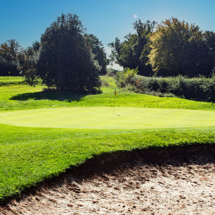 A golf green with a flagstick, bordered by trees and a sand bunker under a clear sky.