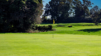 A golf flag sticks out from the green with trees in the background on a sunny day.