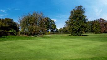 A golf green with a flagstick, surrounded by trees under a blue sky.