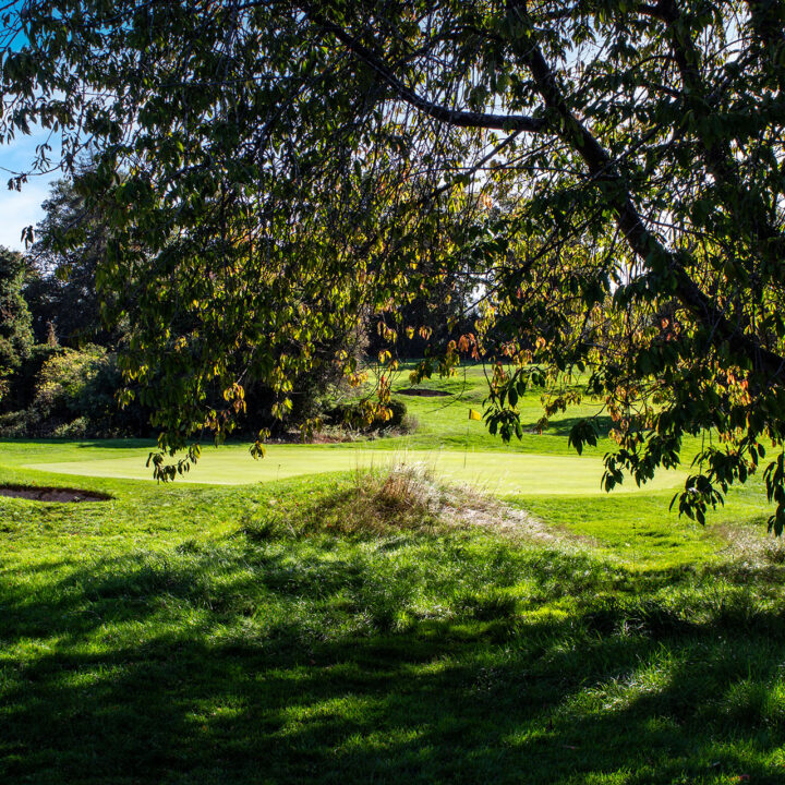 A sunny golf course with lush green grass and trees casting shadows.