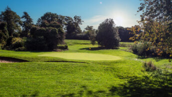 Sunny day on a green golf course with trees and a flag marking the hole.