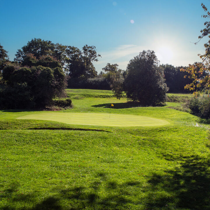 Sunny day on a green golf course with trees and a flag marking the hole.