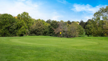 Golf course green with a flag, surrounded by trees under a blue sky.