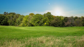 Sunny day on a golf course with green grass, trees, and a flag near the hole.
