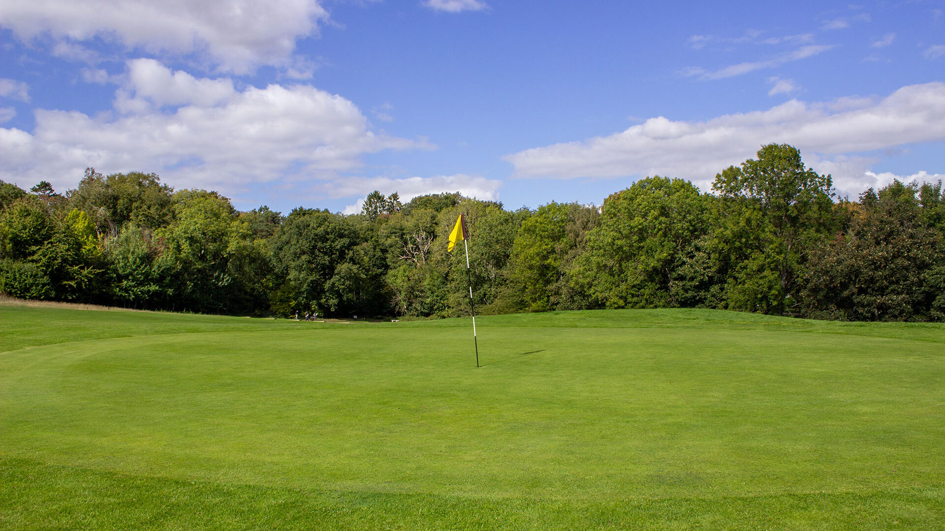 Golf green with a yellow flag, surrounded by trees under a partly cloudy blue sky.