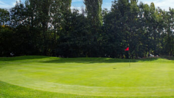 A golf green with a red flag, surrounded by trees under a blue sky.