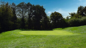 A golf green surrounded by lush trees under a clear blue sky.