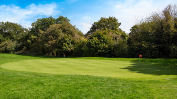 Golf green with a red flag, surrounded by trees under a blue sky with some clouds.