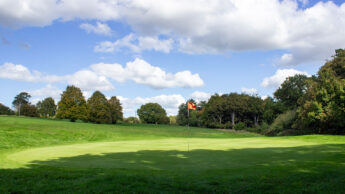 Golf green with a flagstick under a partly cloudy sky, surrounded by trees and grass.