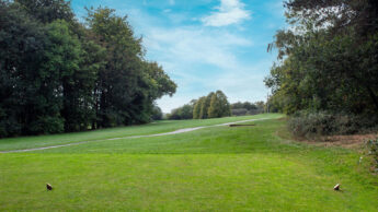 Green golf course with trees on both sides under a bright blue sky with clouds.