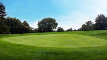 Golf green with a flagstick, surrounded by trees under a clear blue sky.