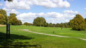 A grassy park with trees, blue sky, and white clouds on a sunny day.