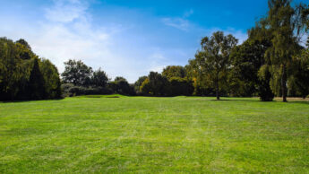 A sunny golf course with green grass, scattered trees, and a clear blue sky.