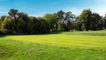 Golf putting green with a yellow flag, surrounded by trees under a clear blue sky.