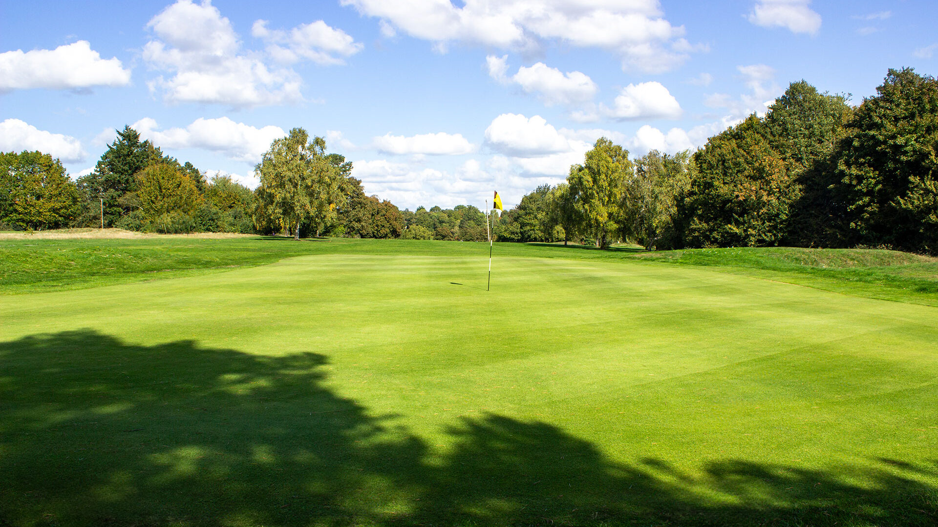 Golf putting green with a yellow flag, surrounded by trees under a clear blue sky.