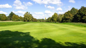 Golf putting green with a yellow flag, surrounded by trees under a clear blue sky.