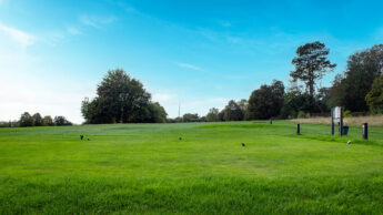 A grassy golf tee box with a few birds and trees under a bright blue sky.