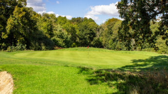 Green golf course with a red flag, surrounded by trees under a partly cloudy sky.