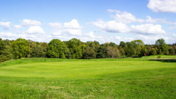 A sunny golf course with a green, flagstick, and trees in the background.