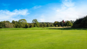 Golf course green with a flag, surrounded by trees and under a bright blue sky.