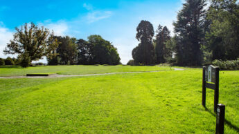 A sunny golf course with lush green grass, tall trees, and a signpost near the path.