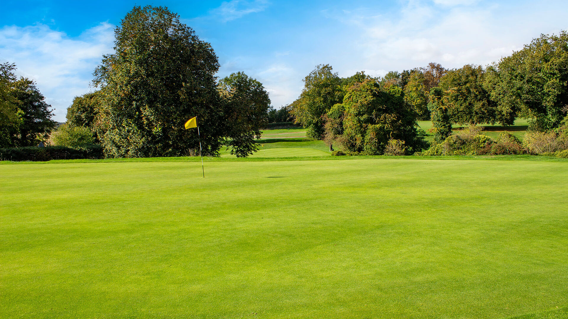 Golf course green with a yellow flag, surrounded by trees under a blue sky.