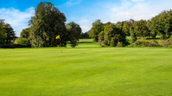 Golf course green with a yellow flag, surrounded by trees under a blue sky.
