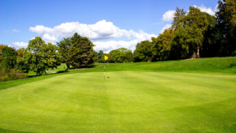 Golf course green with a yellow flag, surrounded by trees under a blue sky.