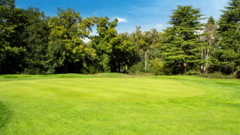 Green golf course with flag on putting green, surrounded by trees under clear blue sky.