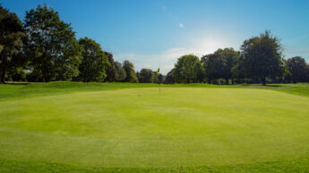 Golf green with a flagstick, surrounded by trees under a clear blue sky.