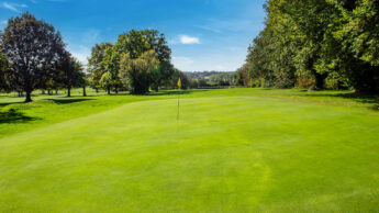 Golf course green with a flagstick, surrounded by trees under a clear blue sky.
