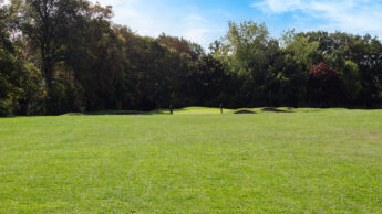 A green golf course with trees in the background under a blue sky.