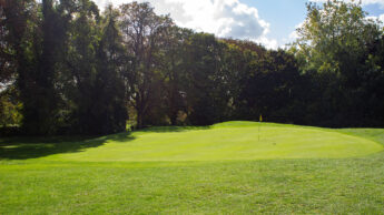 Green golf course with a flagstick, surrounded by trees under a partly cloudy sky.