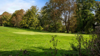 Golf green surrounded by trees and lush grass under a blue sky.