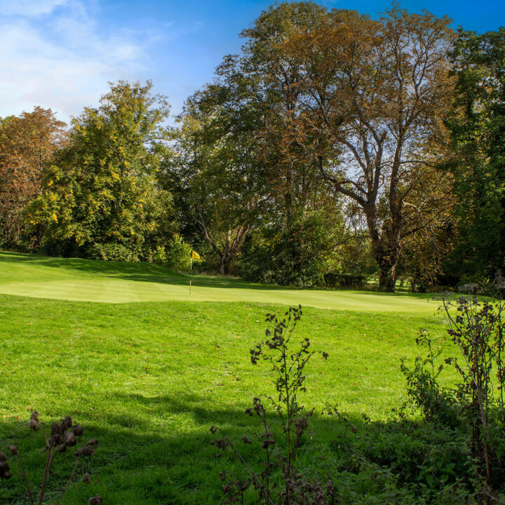 Golf green surrounded by trees and lush grass under a blue sky.