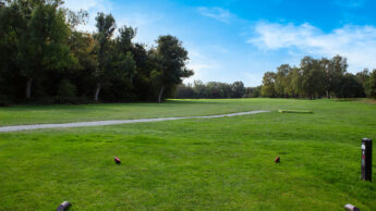 A green golf course with trees and a clear blue sky in the background.