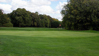 Golf green with a flagstick, surrounded by trees under a partly cloudy sky.